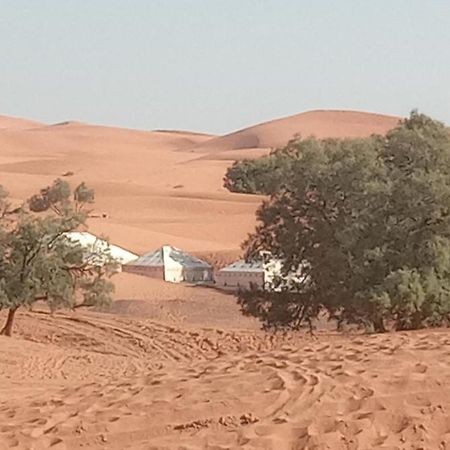 Hotel Bivouac Camel Trips Merzouga Esterno foto