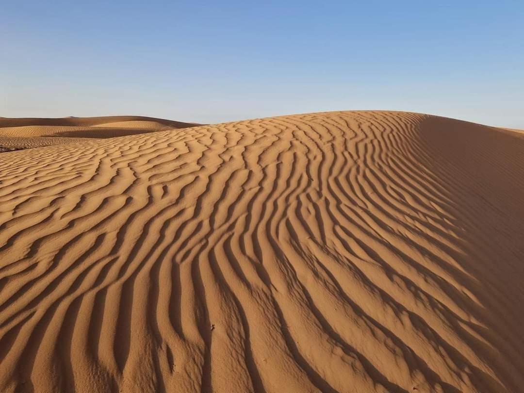 Hotel Bivouac Camel Trips Merzouga Esterno foto