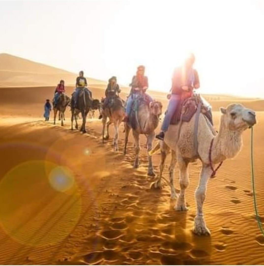 Hotel Bivouac Camel Trips Merzouga Esterno foto