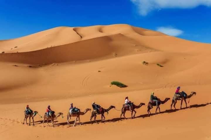 Hotel Bivouac Camel Trips Merzouga Esterno foto