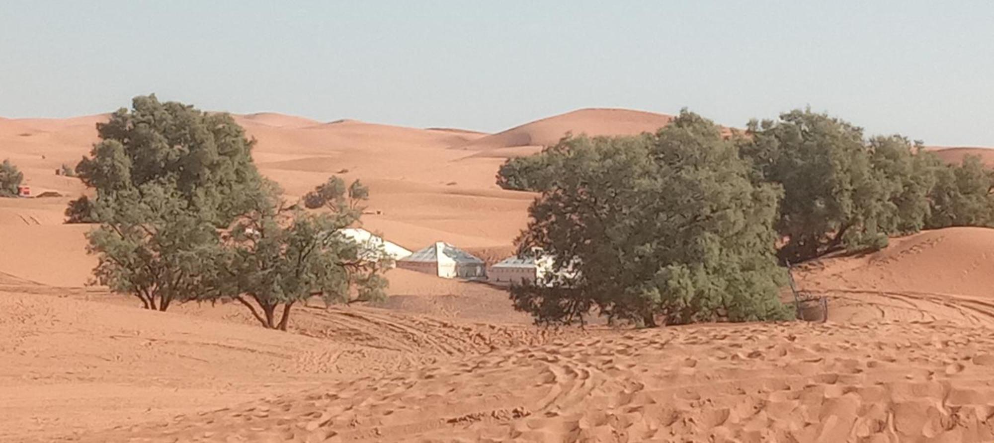 Hotel Bivouac Camel Trips Merzouga Esterno foto
