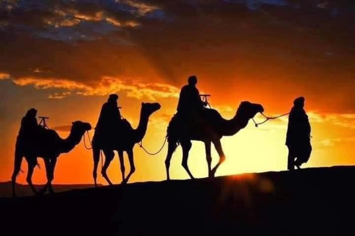 Hotel Bivouac Camel Trips Merzouga Esterno foto