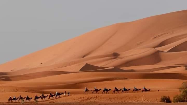 Hotel Bivouac Camel Trips Merzouga Esterno foto