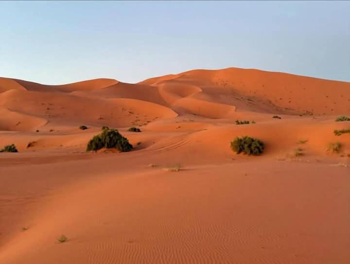 Hotel Bivouac Camel Trips Merzouga Esterno foto