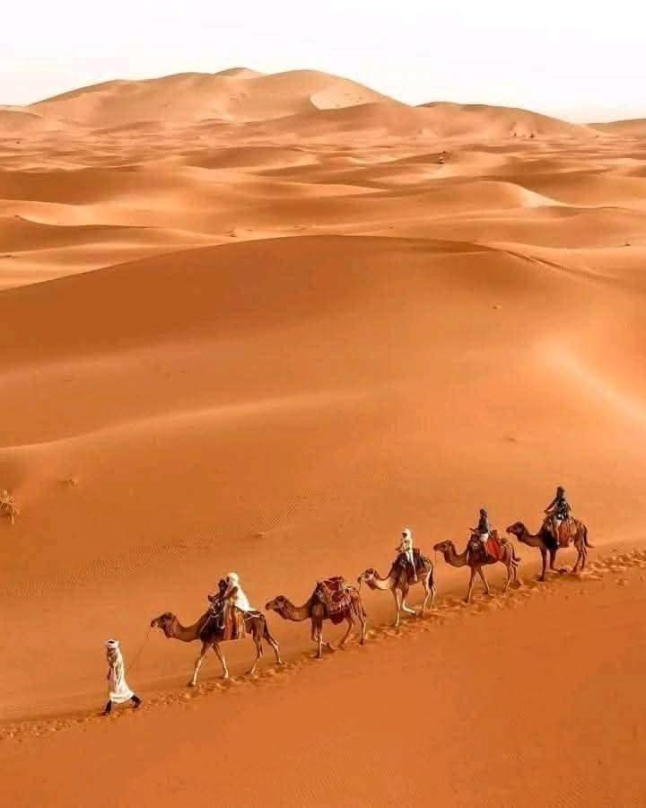 Hotel Bivouac Camel Trips Merzouga Esterno foto