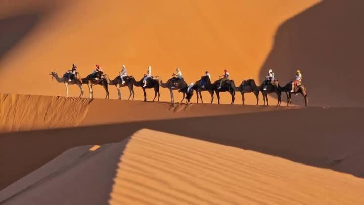 Hotel Bivouac Camel Trips Merzouga Esterno foto