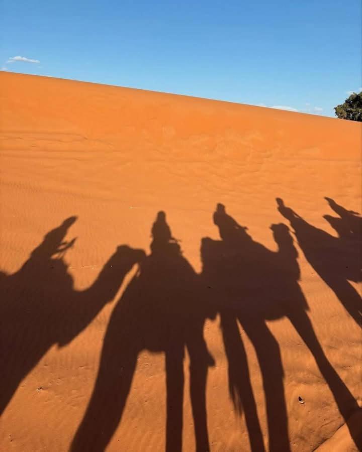 Hotel Bivouac Camel Trips Merzouga Esterno foto