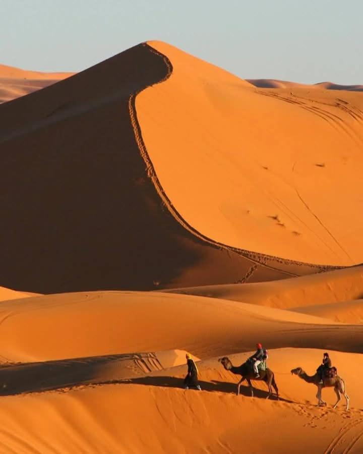 Hotel Bivouac Camel Trips Merzouga Esterno foto
