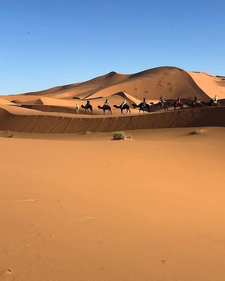 Hotel Bivouac Camel Trips Merzouga Esterno foto
